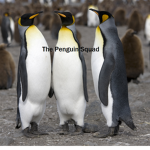 [ T.P.S ] The Penguin Squad [ T.P.S ]