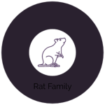 The Rat Family household.