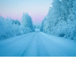 Middle of cold