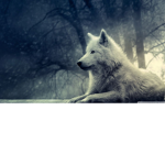 FrostWolves