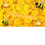 Beautiful bees~