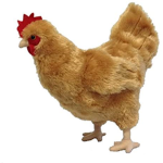 ILoveChickens