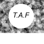 The American Federation