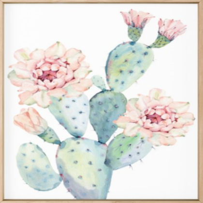 cute pastel cactus Roblox decal