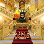 〤 SOMBER