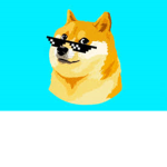 The Doge society in secret