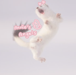 .+‘*+,αɳɳιҽ‘ʂ αɳɠҽʅʂ,+*’+.