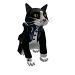 The amazing tuxedo cats!