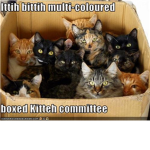 ittih bittih kittih committee