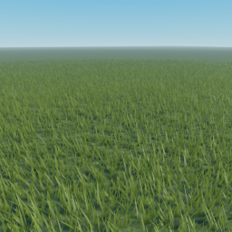 Some grass