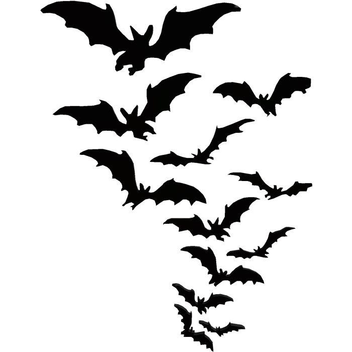 Flying Bats