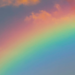 Rainbow's Fanclub