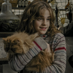 gryffindors <3