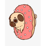 donut s <3