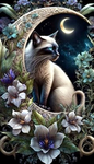 Mƴśťíçāļ Cats ŴÇŮË