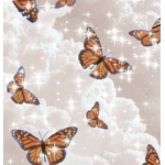Miami butterflies