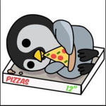 Teem Pizza