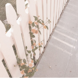 ❀
