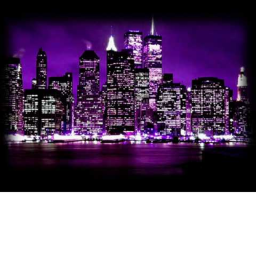 Purple Hearts City