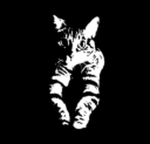 provision_