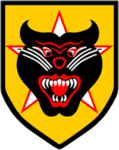 == 37th Ranger Battalion, ARVN ==