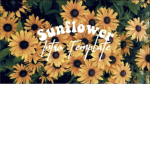 Sunflowerx powers