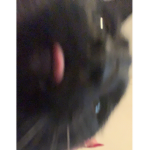 eastoncat1