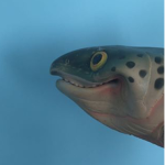 Fish Puppet fans!
