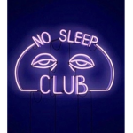The Nights Owl