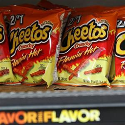 cheetos home (CAMP)
