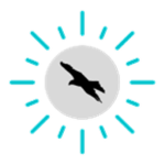 Fly Horizon Airways