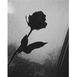 -Sad Day-