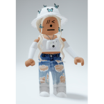 The bloxburgers:)