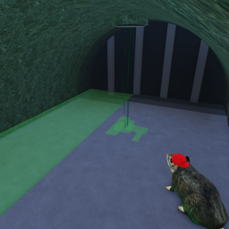Rat Sewer