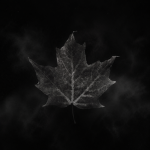/november