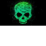 the skull ganggang