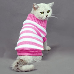 Turtleneck Tabby Studios