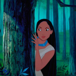 Pocahontas Fan Group