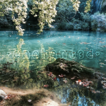 -Enchant3d-