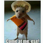 Mexican_Rat’s