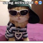 Lowkey Swaggies <3