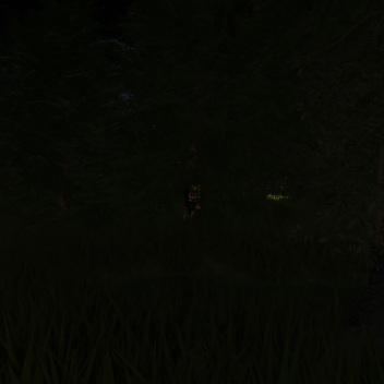 The Forest...