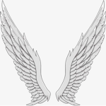 Angels Empire