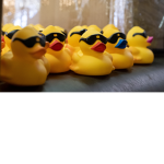 Ducky_Boys