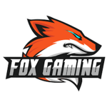 Gaming foxy