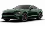Sweat Mustang Fan Group