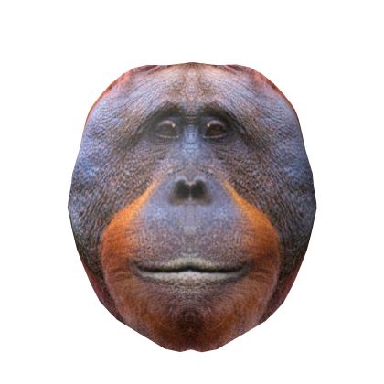 Roblox Item Realistic Orangutan Head 🦧