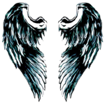 The Winged Squad!