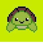 Turbo Turtles Official [NFT]