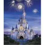 Disney World Fan Group